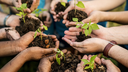 ESG : LES FACTEURS ENVIRONNEMENTAUX, SOCIAUX ET DE GOUVERNANCE 