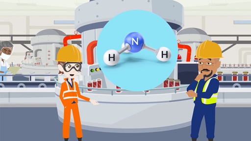 [1992] CAPSULE AMMONIAC