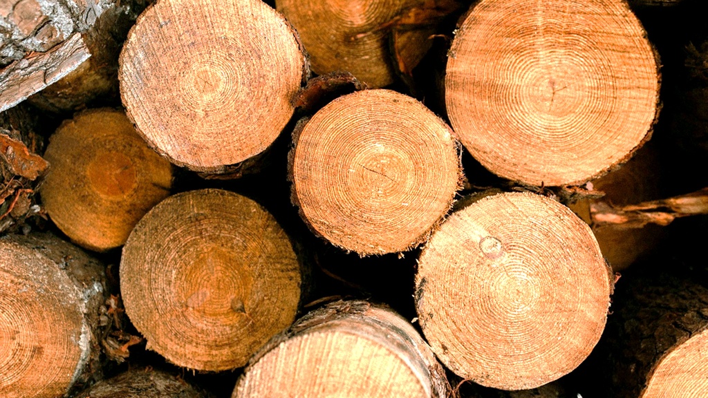 PRODUITS FORESTIERS RÉSOLU (PFR) - AFD LAC-ST-JEAN ET ISO 14001