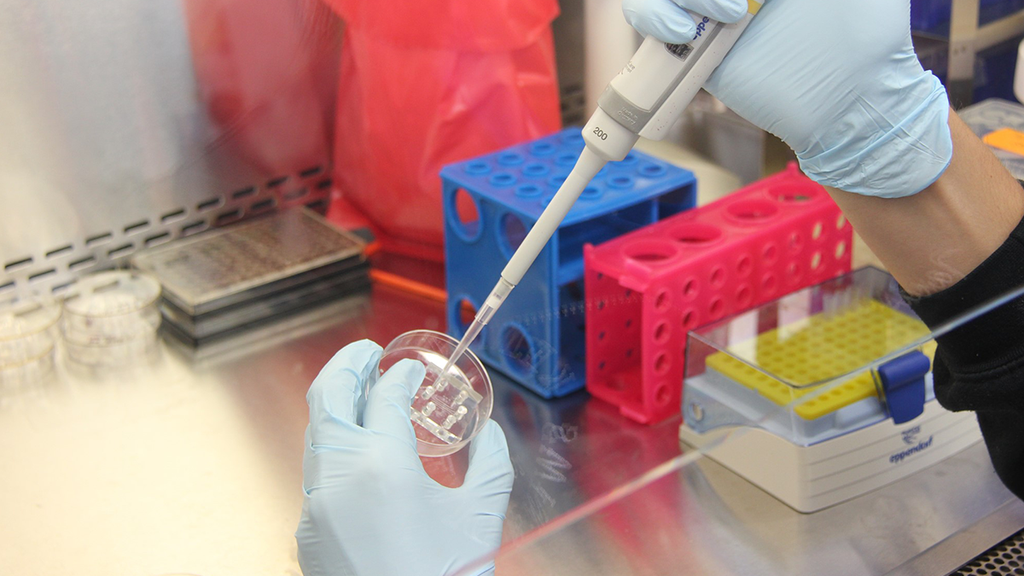 THERMO FISHER SCIENTIFIC CORK - CONTRACTOR INDUCTION