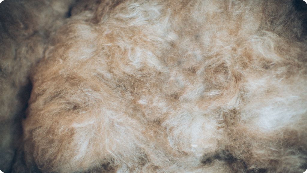 ALCOA CANADA - LES FIBRES CÉRAMIQUES RÉFRACTAIRES (RCF)