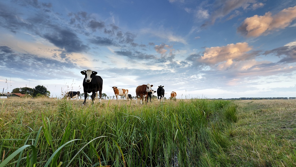AGROPUR OKA  – ACCUEIL ENTREPRENEURS 