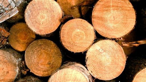 [1107] PRODUITS FORESTIERS RÉSOLU (PFR) - AFD LAC-ST-JEAN ET ISO 14001
